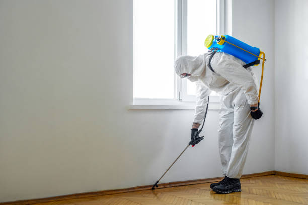 Best Pest Control for Hotels  in St Clairsville, OH